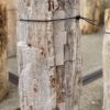 Grafsteen versteend hout 57063