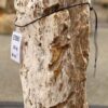 Grafsteen versteend hout 57065