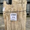 Grafsteen versteend hout 57068