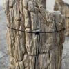 Grafsteen versteend hout 57068