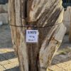 Grafsteen versteend hout 57072