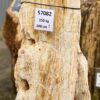 Grafsteen versteend hout 57082