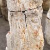 Grafsteen versteend hout 57082