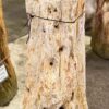 Grafsteen versteend hout 57082