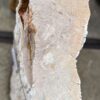Grafsteen versteend hout 57084