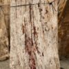 Grafsteen versteend hout 57084