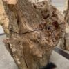 Grafsteen versteend hout 57087