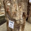 Grafsteen versteend hout 57090