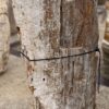 Grafsteen versteend hout 57090