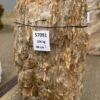 Grafsteen versteend hout 57091