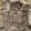 Grafsteen versteend hout 57091