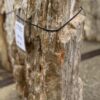 Grafsteen versteend hout 57091