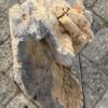 Grafsteen versteend hout 57099