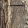 Grafsteen versteend hout 57099