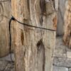 Grafsteen versteend hout 57106