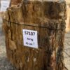 Grafsteen versteend hout 57107