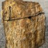 Grafsteen versteend hout 57107