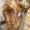Grafsteen versteend hout 57111