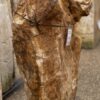 Grafsteen versteend hout 57111