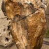Grafsteen versteend hout 57111