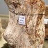 Grafsteen versteend hout 57112