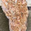 Grafsteen versteend hout 57112