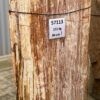 Grafsteen versteend hout 57113