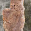 Grafsteen versteend hout 57113