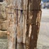 Grafsteen versteend hout 57113