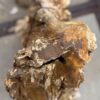 Grafsteen versteend hout 57116