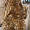 Grafsteen versteend hout 57116