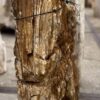 Grafsteen versteend hout 57116