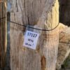 Grafsteen versteend hout 57117