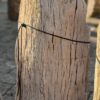 Grafsteen versteend hout 57117