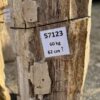 Grafsteen versteend hout 57123