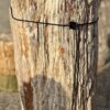 Grafsteen versteend hout 57123
