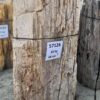Grafsteen versteend hout 57126