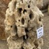 Grafsteen versteend hout 57127