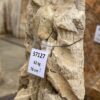 Grafsteen versteend hout 57127