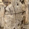 Grafsteen versteend hout 57127