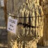 Grafsteen versteend hout 57131