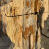 Grafsteen versteend hout 57131