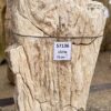 Grafsteen versteend hout 57136