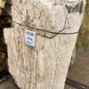 Grafsteen versteend hout 57136