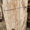 Grafsteen versteend hout 57136