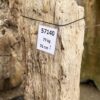 Grafsteen versteend hout 57140