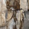 Grafsteen versteend hout 57142