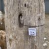 Grafsteen versteend hout 57151