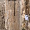 Grafsteen versteend hout 57151