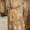 Grafsteen versteend hout 57154